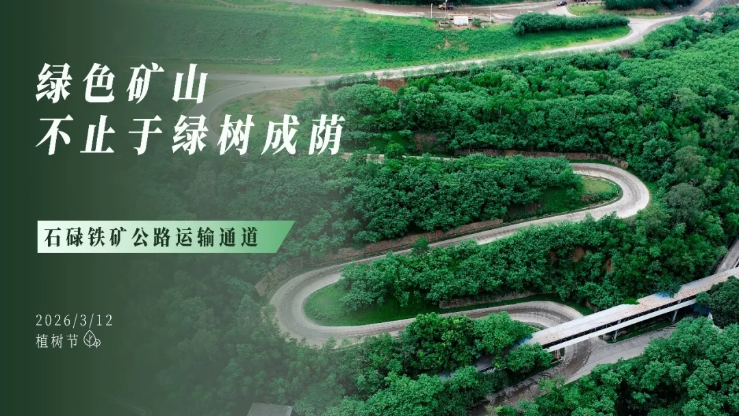 植树节 | 绿色矿山，，，不止于绿树成荫